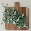 salt-bush-decorative-seeds