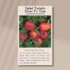 Tomato silver fir tree front