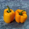 capsicum-mini-belle-seeds-1