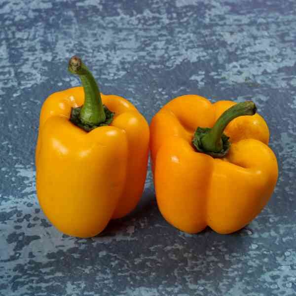 capsicum-mini-belle-seeds-1 capsicum-mini-belle-seeds-1