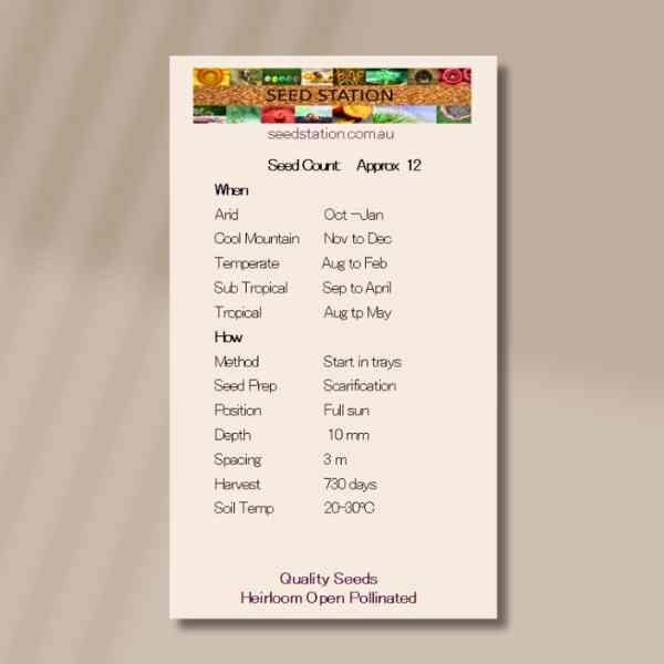 passionfruit-banana-back passionfruit-banana-back