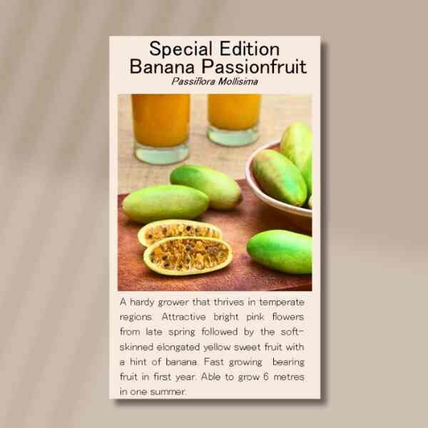passionfruit-banana-front passionfruit-banana-front