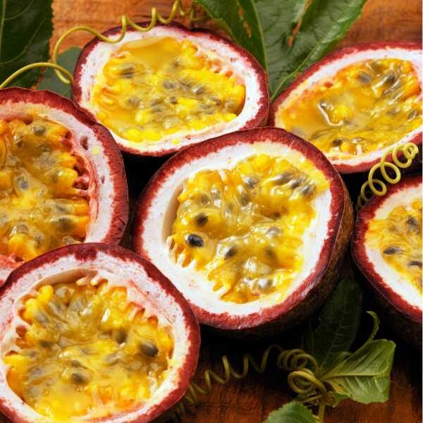 passionfruit-black-flower=3 passionfruit-black-flower=3