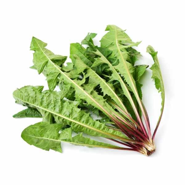 dandelion-seed3 dandelion-seed3