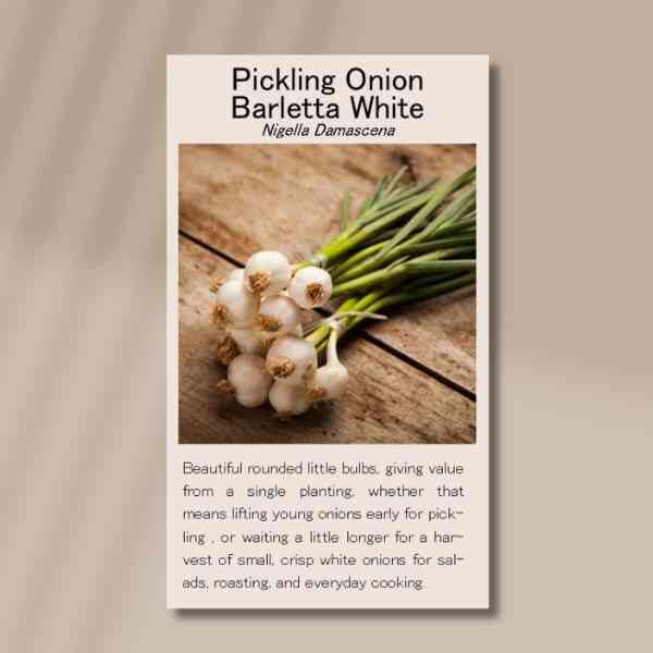 barletta-front barletta-front