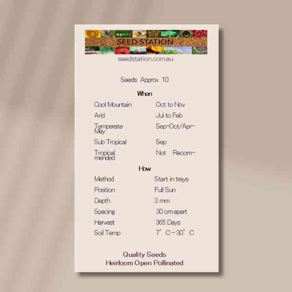 rhubarb-glaskins-back rhubarb-glaskins-back