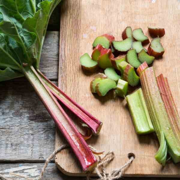 rhubarb-glaskins-perpetual-seeds-3 rhubarb-glaskins-perpetual-seeds-3