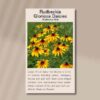 rudbeckia-gloriosa-seeds-back
