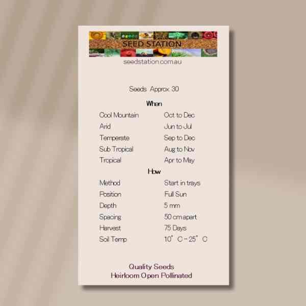 clary-sage-back clary-sage-back