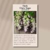 clary-sage-front