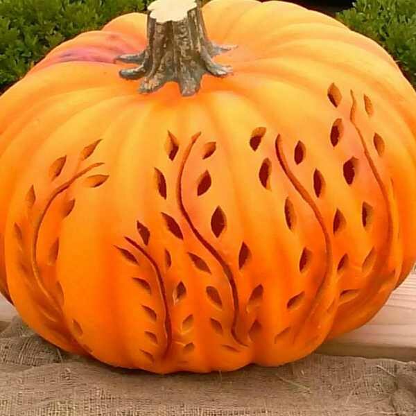 pumpkin -jack-be-little-seeds-3 pumpkin -jack-be-little-seeds-3