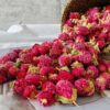 globe-amaranth-seeds=6