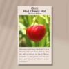 red-cherry-hot-front