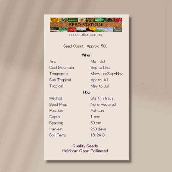 wild-rosemary-back wild-rosemary-back