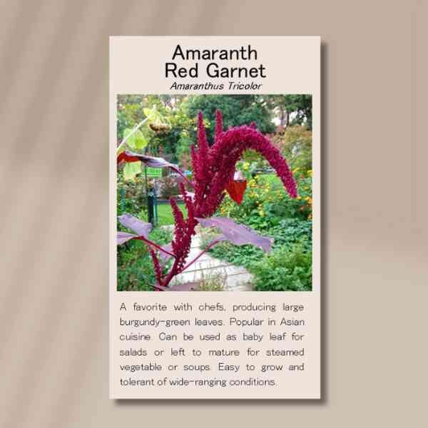 amaranth-red-garnet-1 amaranth-red-garnet-1
