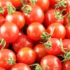 tomato-pimpinellifolium-seeds-2