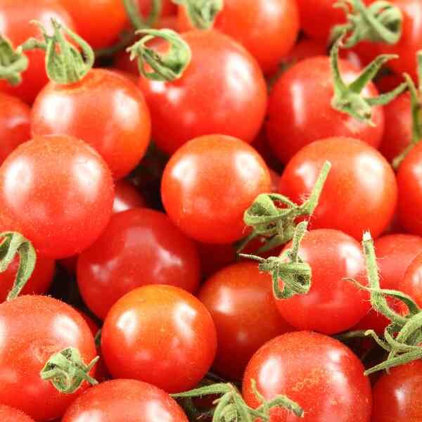 tomato-pimpinellifolium-seeds-2 tomato-pimpinellifolium-seeds-2