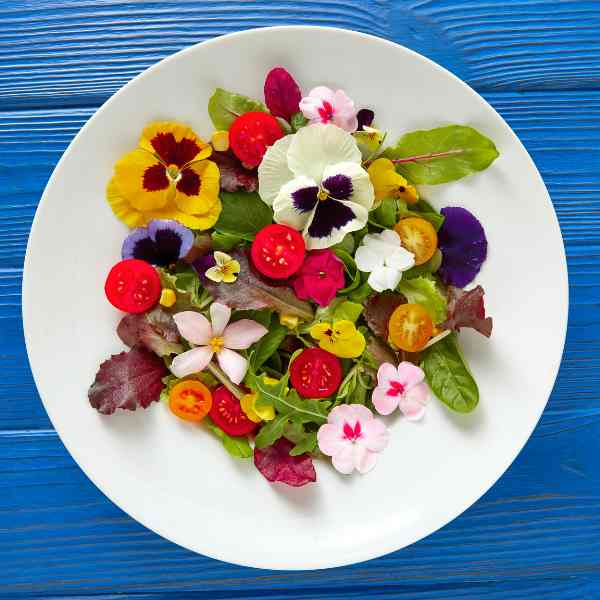 flower edible category