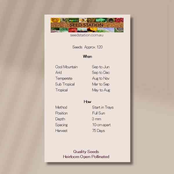 california-poppy-back california-poppy-back