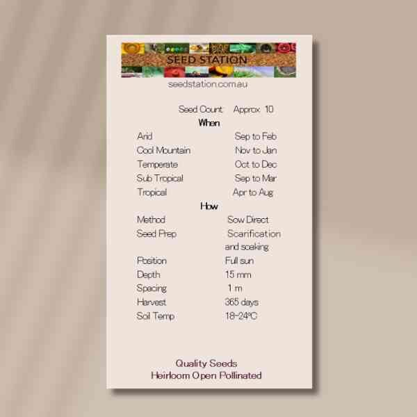 desert-yam-back desert-yam-back