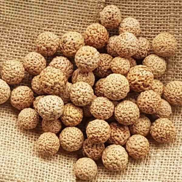 quandong-seeds-3 quandong-seeds-3