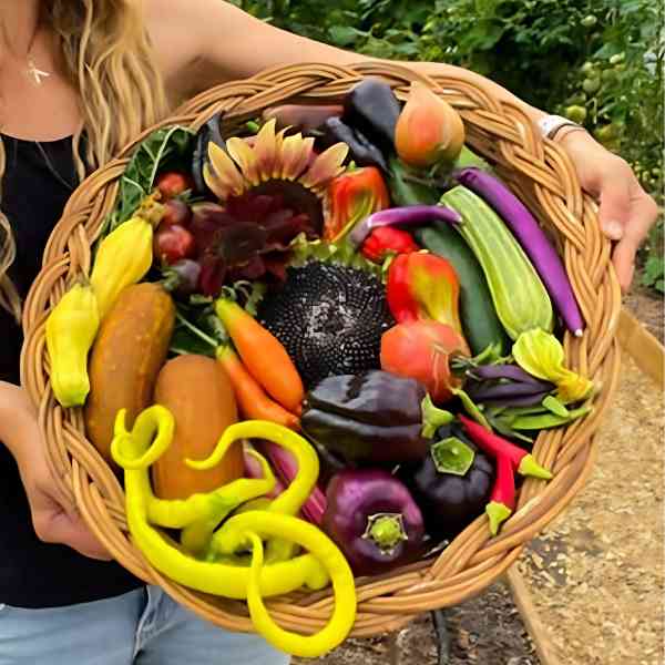 Why Variety Matters: How Growing Unusual Seeds Can Transform Your Garden