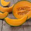 rock-melon-hales-best-seeds