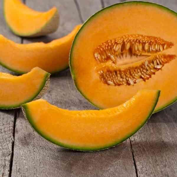 rock-melon-hales-best-seeds