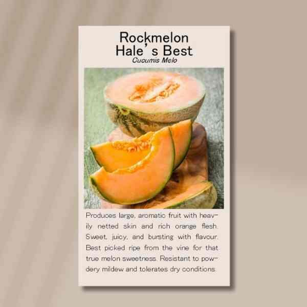 rockmelon-hales-best-front rockmelon-hales-best-front
