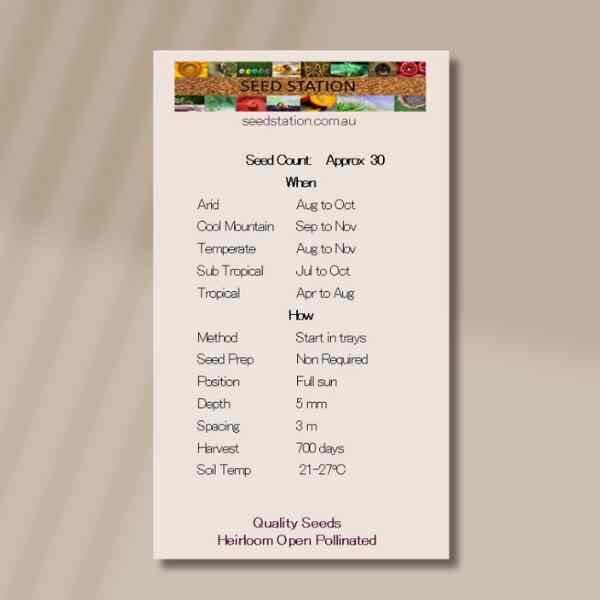 tamarillo-front tamarillo-front