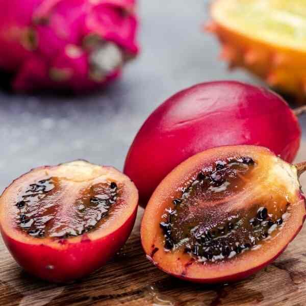 tamarillo-tree-seeds-8 tamarillo-tree-seeds-8