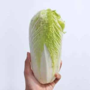 Cabbage Wong Bok