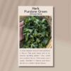 purslane-front