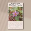 wild-tomato-front