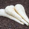 parsnip-demeter-seeds-3