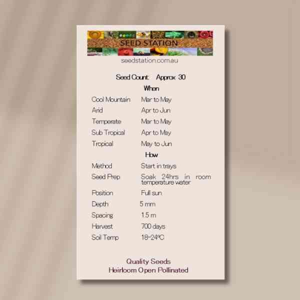 blood-root-back blood-root-back