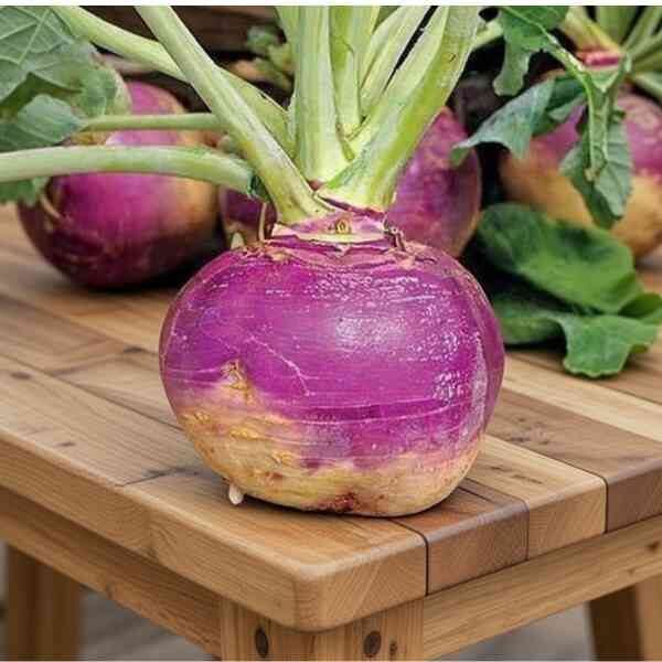 swede-aspen-seeds-3 swede-aspen-seeds-3