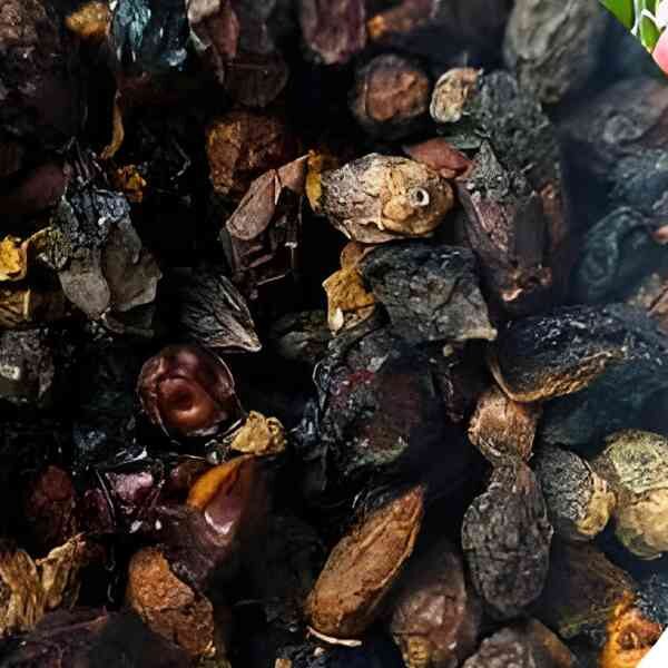 nitre-bush-seeds-4 nitre-bush-seeds-4