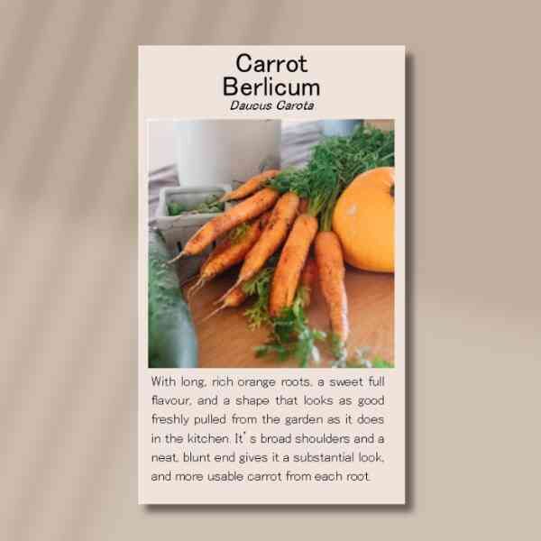 carrot-berlicum-front carrot-berlicum-front