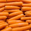 carrot-berlicum-seeds