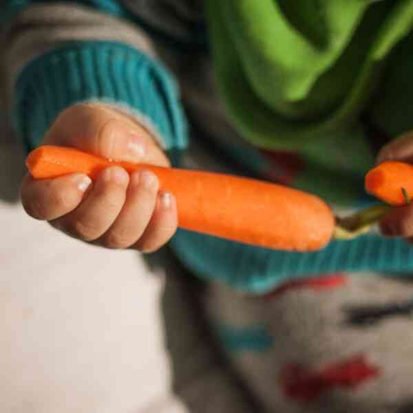 carrot-berlicum-seeds-2 carrot-berlicum-seeds-2