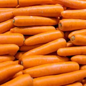 Carrot Berlicum