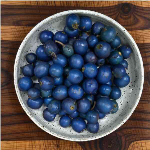 blue-quandong-seeds-3 a white bowl filled with quandong berries sitting on a chopping board