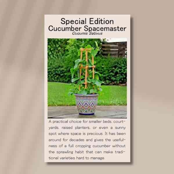 cucumber-spacemaster-front cucumber-spacemaster-front