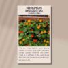front side of a packet of nasturtium whirlybird seeds