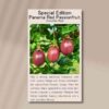 passionfruit panama red front of seed packet