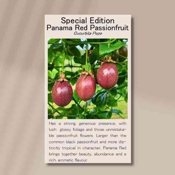 passionfruit-panama-red-front passionfruit panama red front of seed packet
