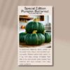 Pumpkin buttercup front