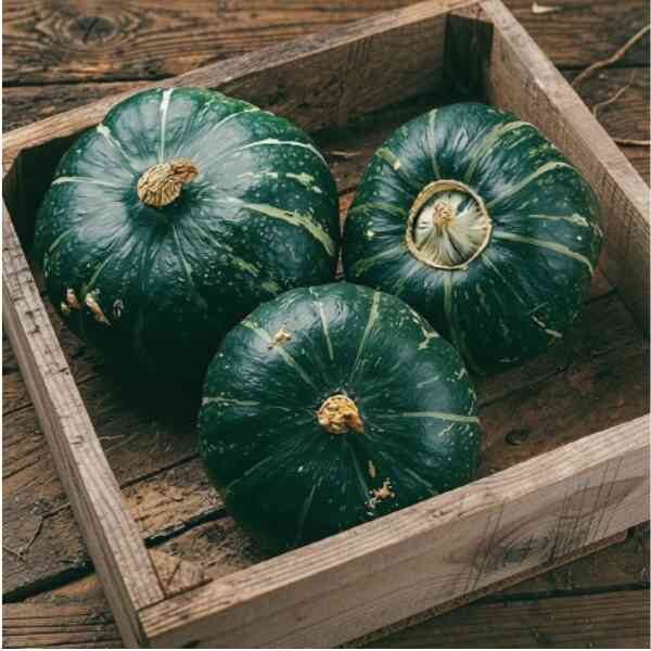 Pumpkin buttercup seeds