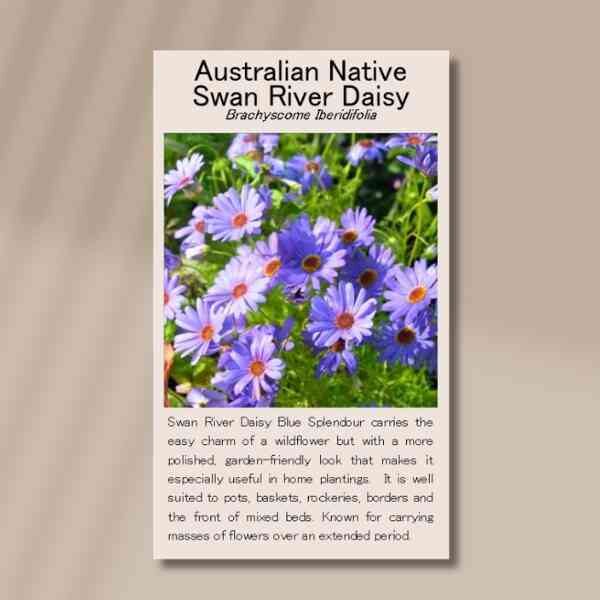swan-river-blue-front Swan river blue front